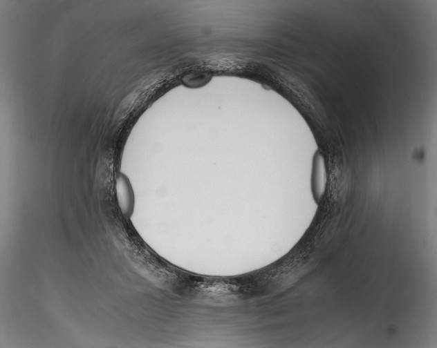 X0000114600407200911301427