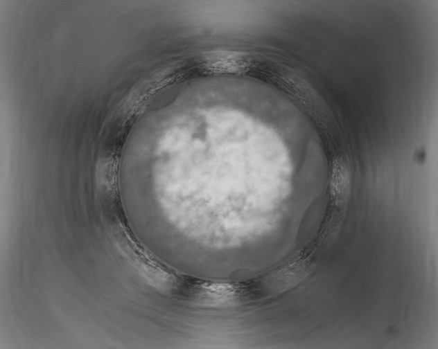 X0000114600409200911301427