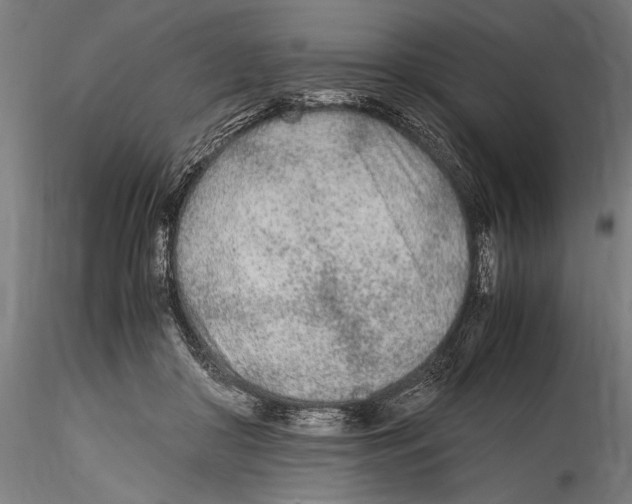 X0000114600410200911301427