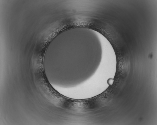 X0000114600411200911301427