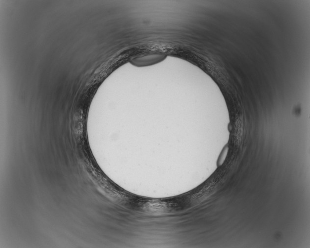 X0000114600413200911301427