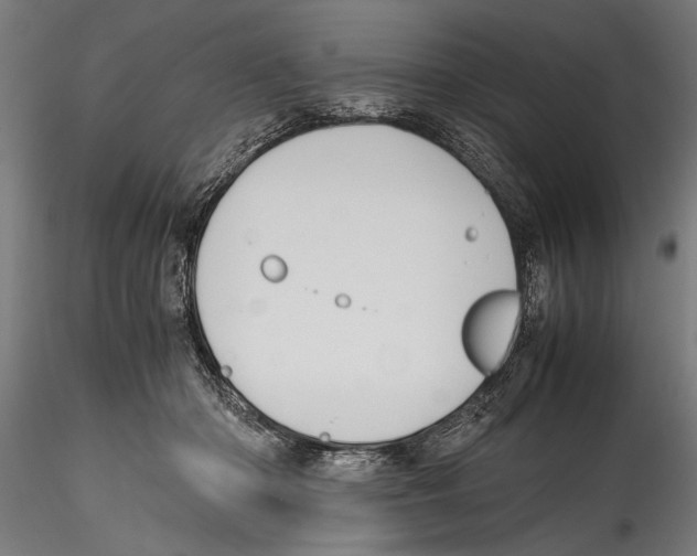 X0000114600414200911301427