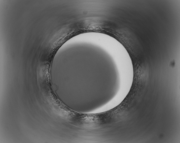 X0000114600415200911301427