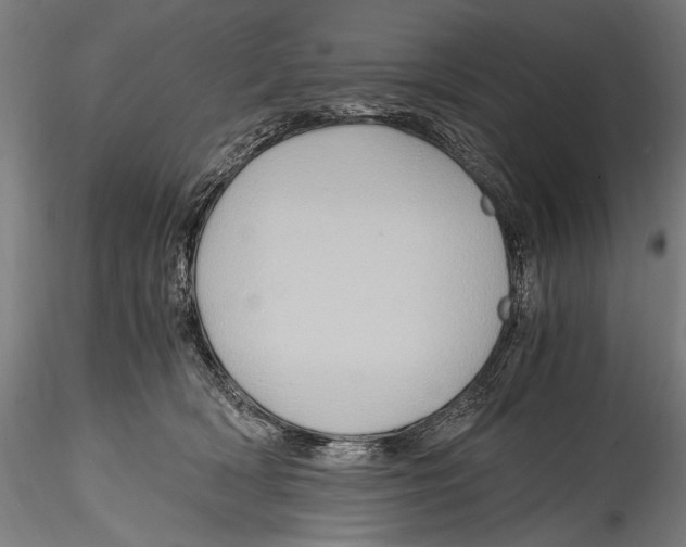 X0000114600418200911301427