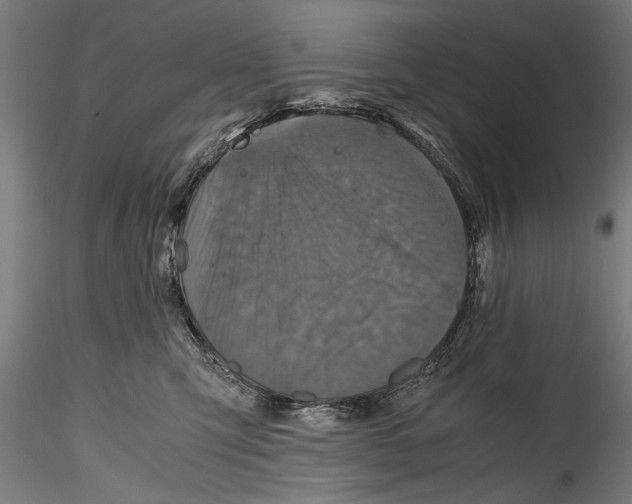 X0000114600423200911301427