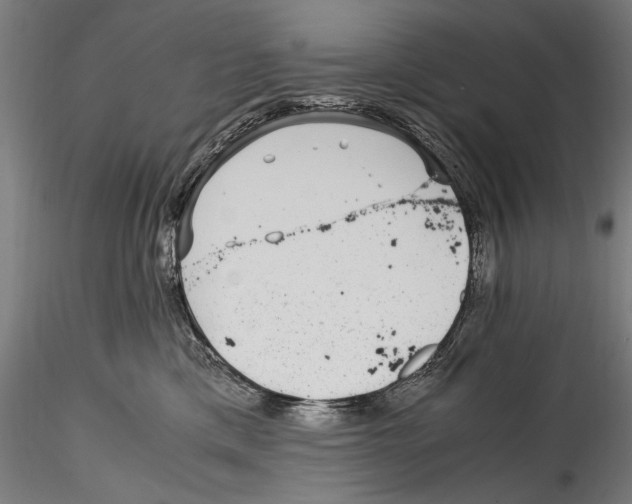 X0000114600425200911301427