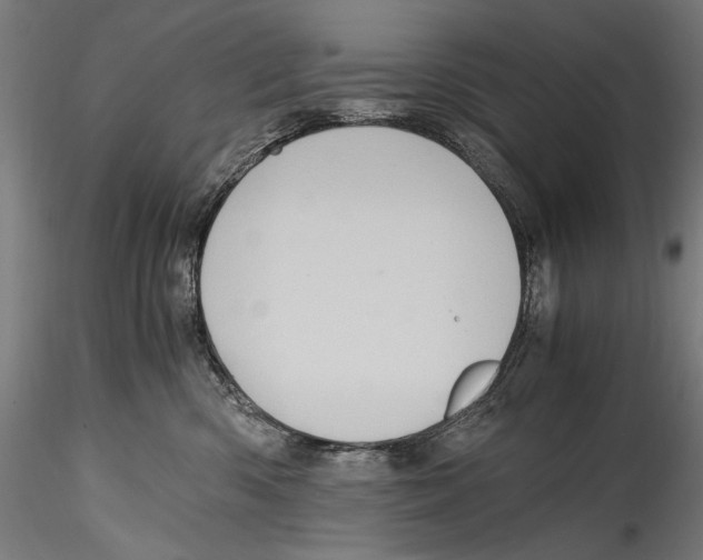 X0000114600426200911301427