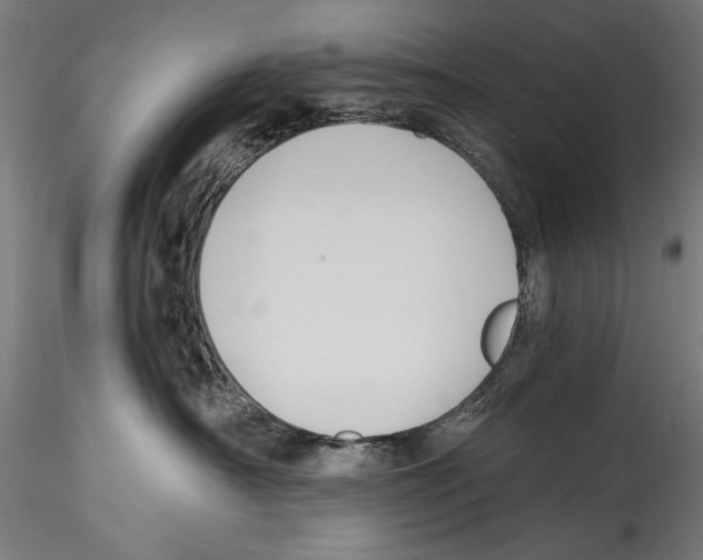 X0000114600430200911301427