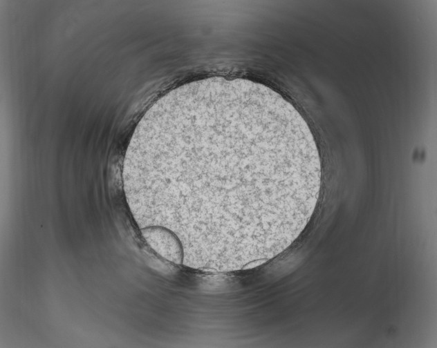 X0000114600432200911301427