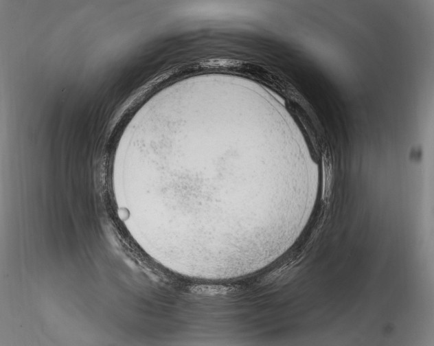 X0000114600435200911301426