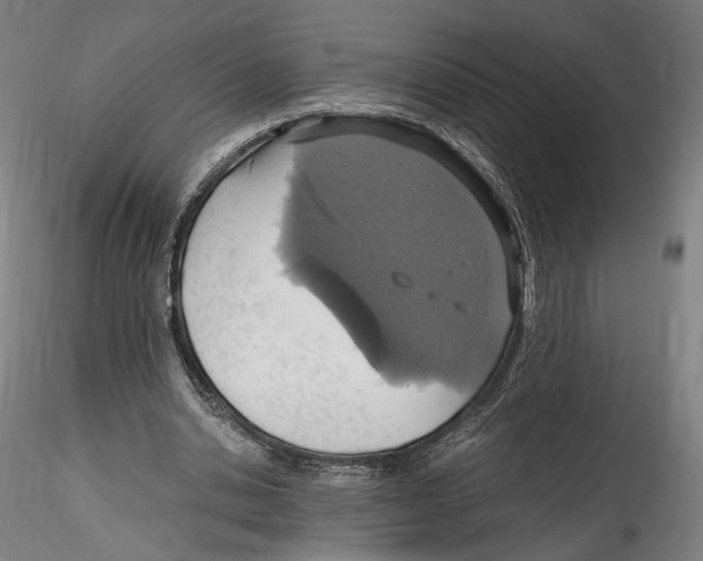 X0000114600438200911301426