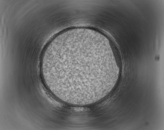 X0000114600439200911301426