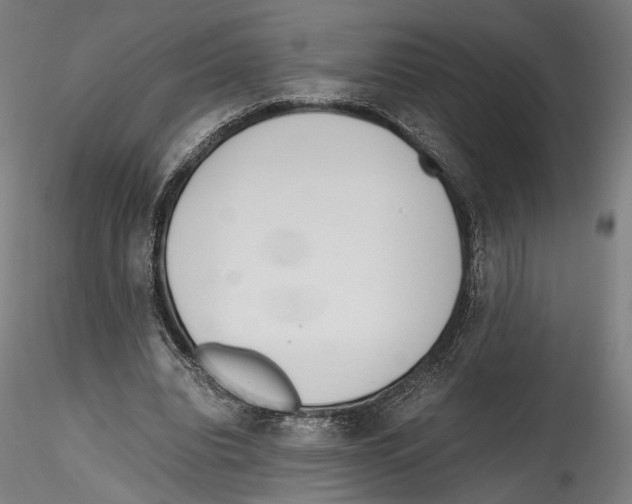 X0000114600440200911301426