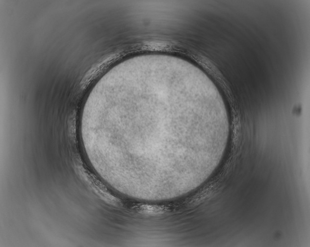 X0000114600442200911301426