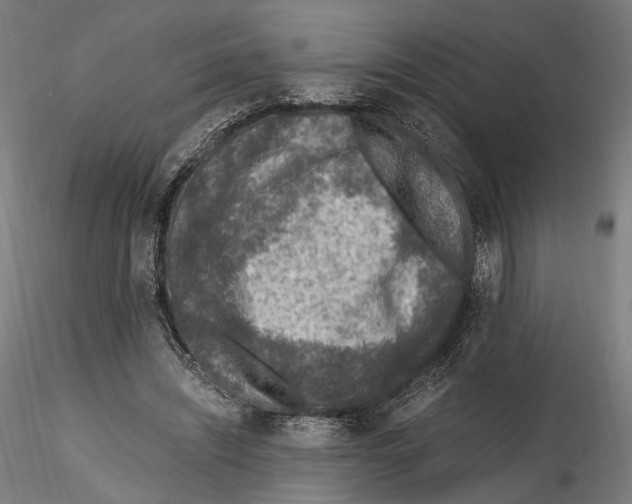 X0000114600444200911301426