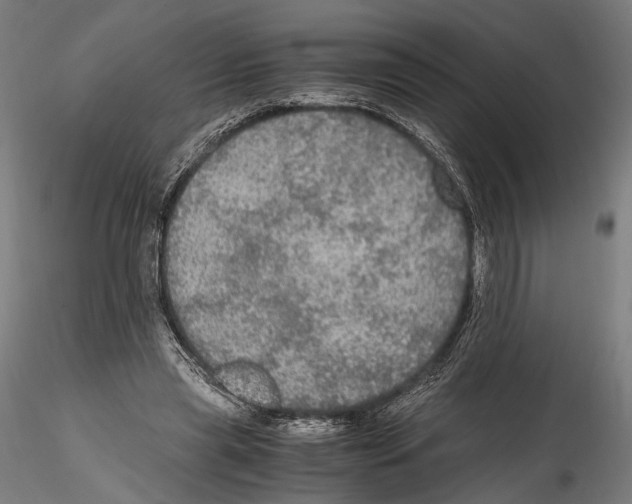 X0000114600445200911301426