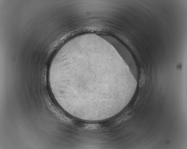 X0000114600446200911301426