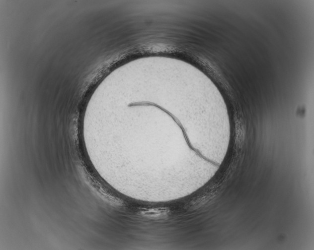 X0000114600447200911301426