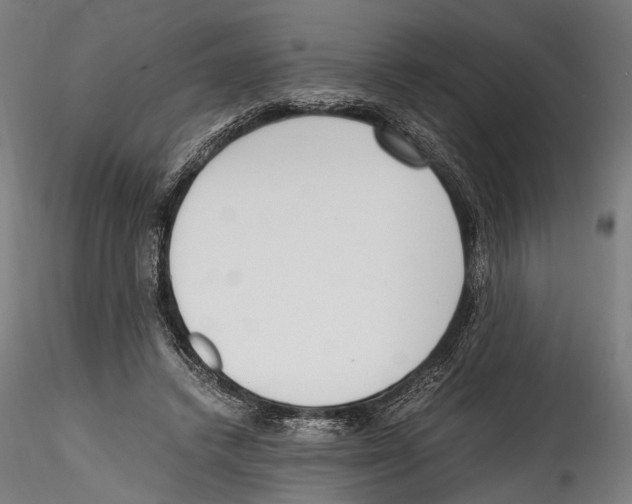 X0000114600448200911301426