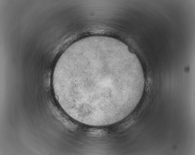 X0000114600454200911301427