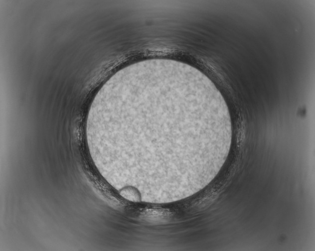 X0000114600455200911301427