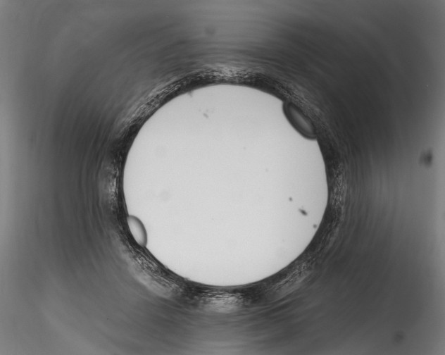 X0000114600456200911301427