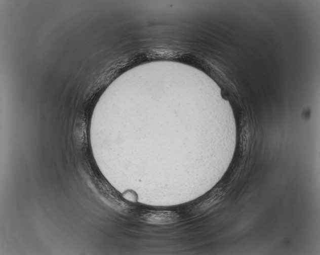 X0000114600459200911301427