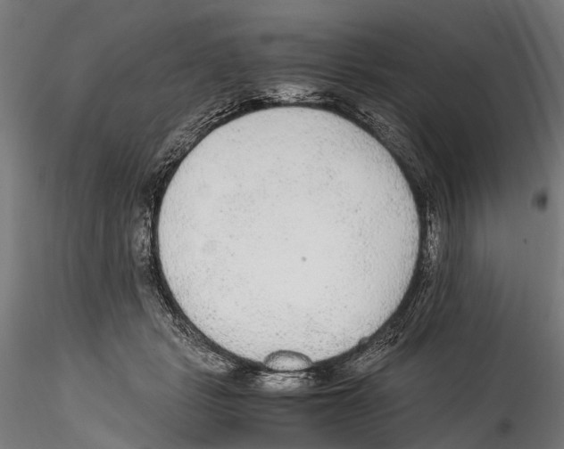 X0000114600461200911301427