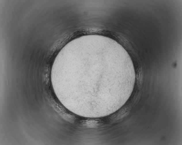 X0000114600462200911301427