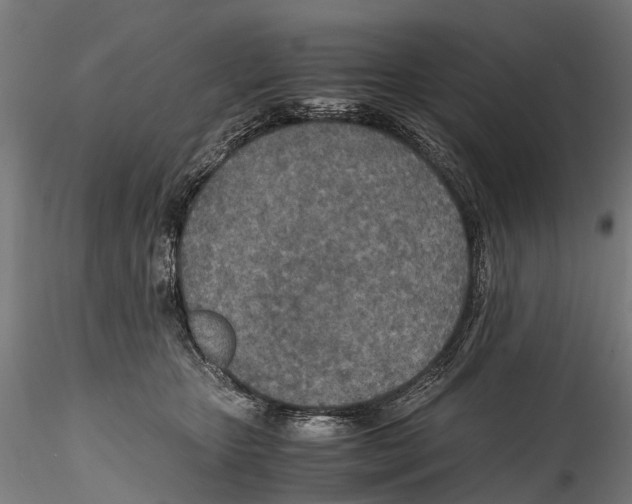 X0000114600467200911301427