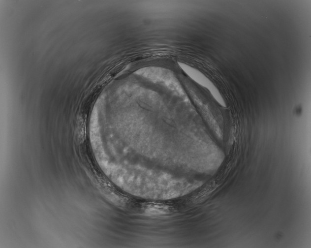 X0000114600471200911301427