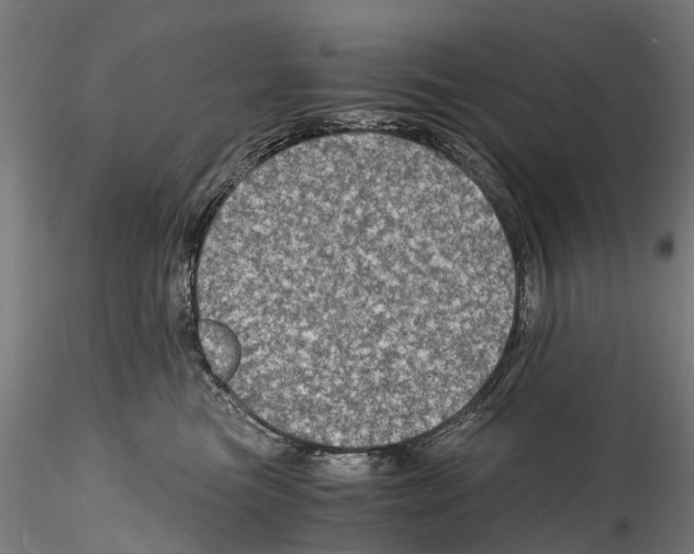 X0000114600473200911301427