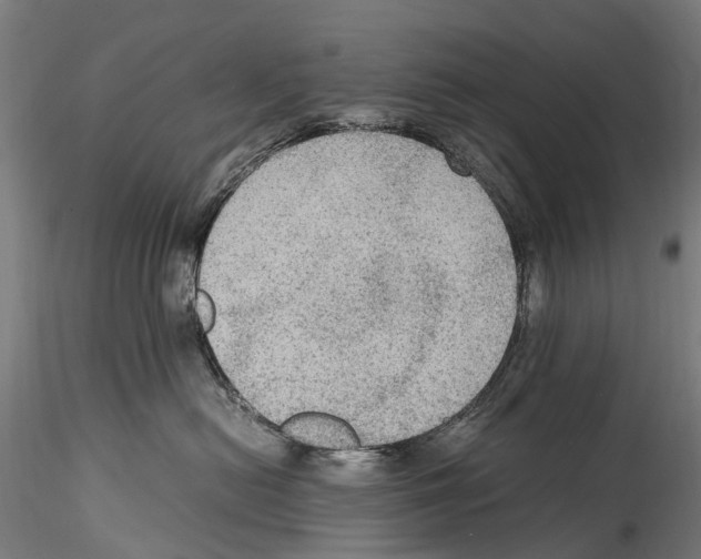 X0000114600478200911301427