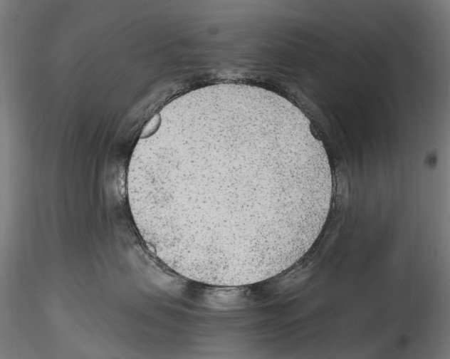 X0000114600479200911301427