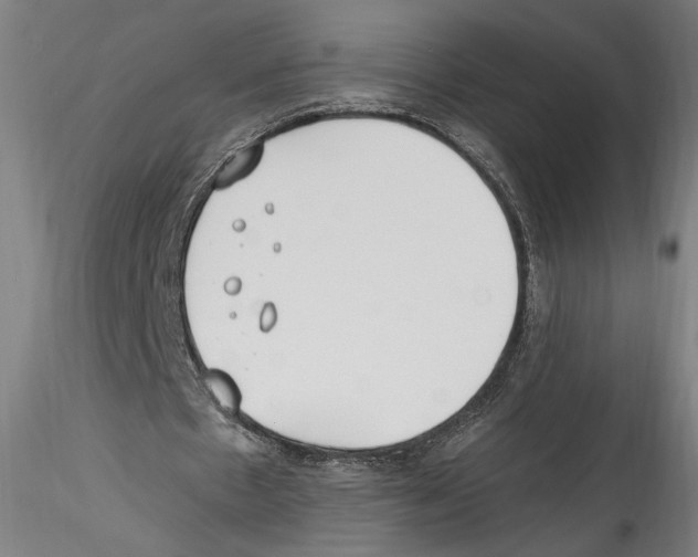 X0000114600481200911301426