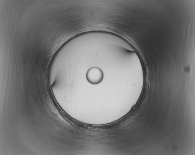 X0000114600485200911301426