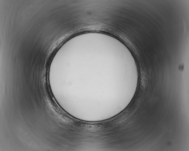 X0000114600486200911301426