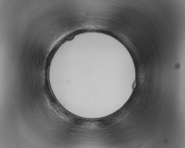 X0000114600488200911301426