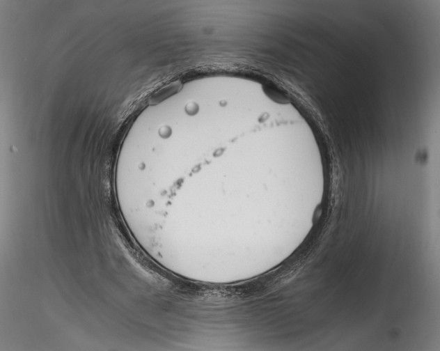 X0000114600489200911301426