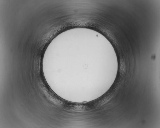 X0000114600493200911301426