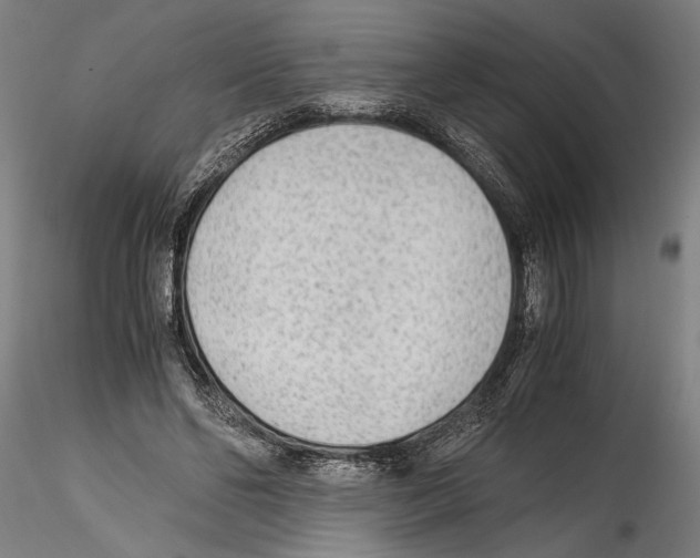 X0000114600494200911301426