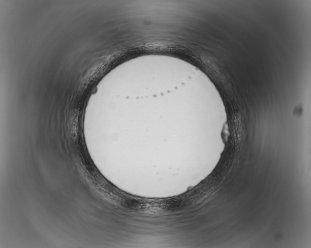 X0000114600495200911301426