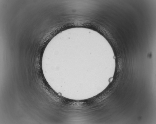 X0000114600497200911301426