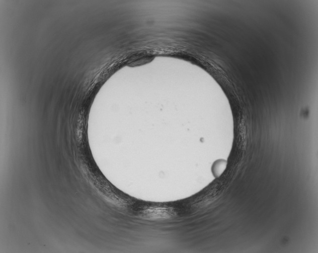 X0000114600499200911301426