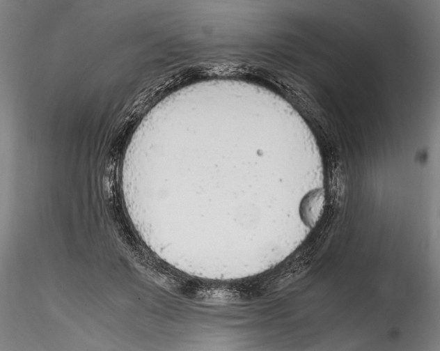 X0000114600503200911301426