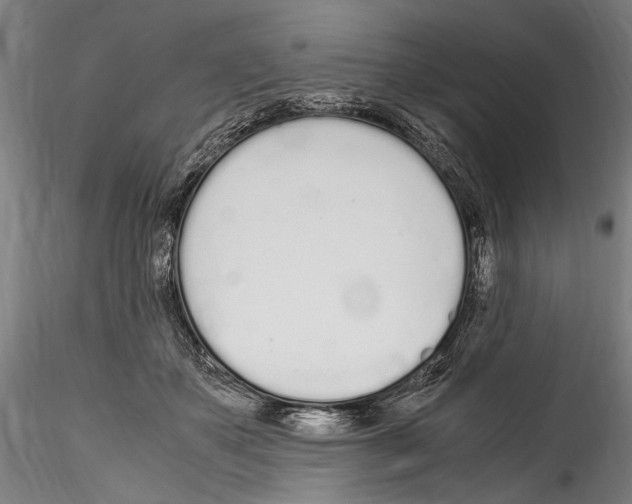 X0000114600507200911301426