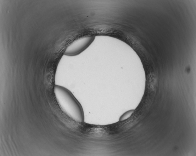 X0000114600509200911301426