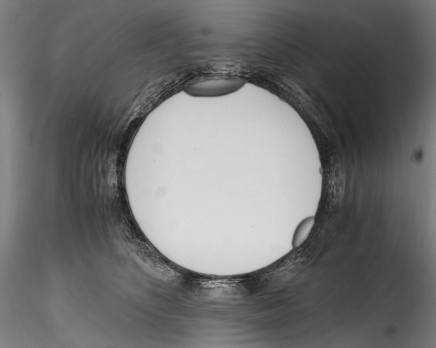 X0000114600516200911301426