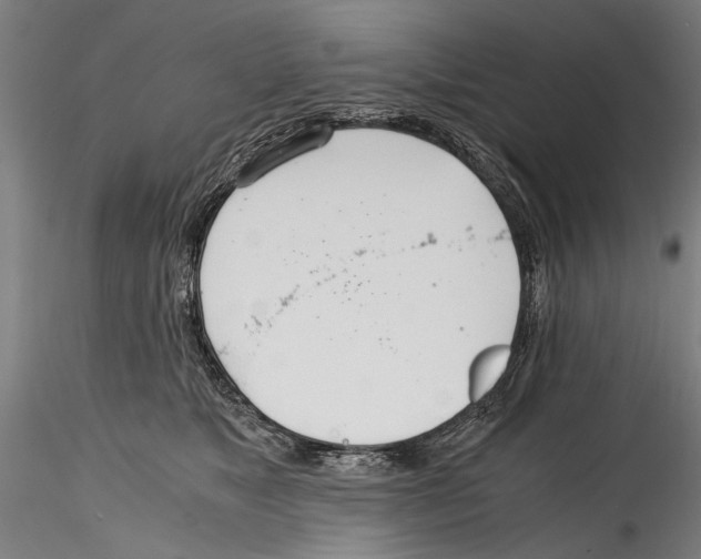 X0000114600517200911301426