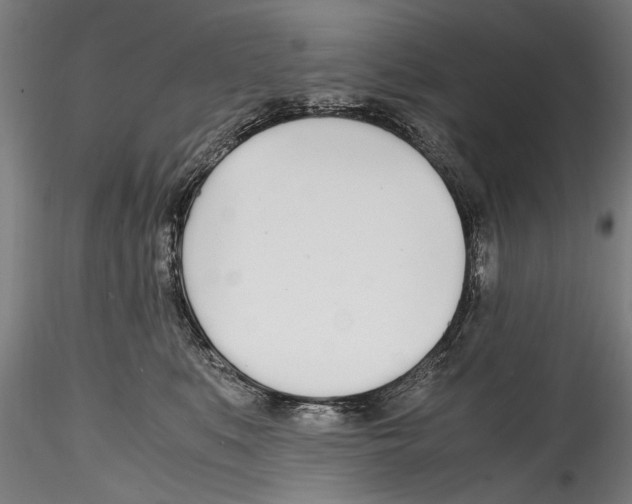 X0000114600519200911301426